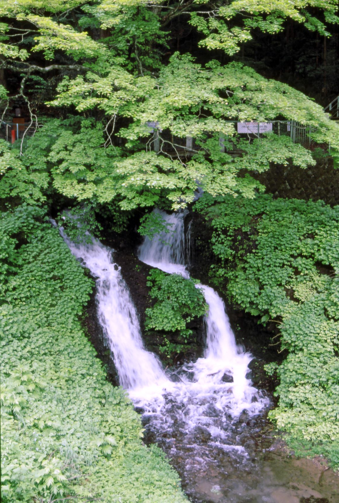 箱島湧水