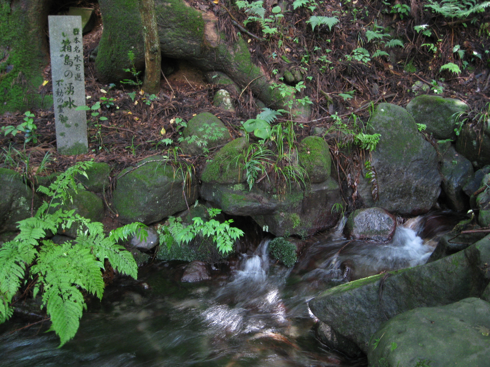 箱島湧水