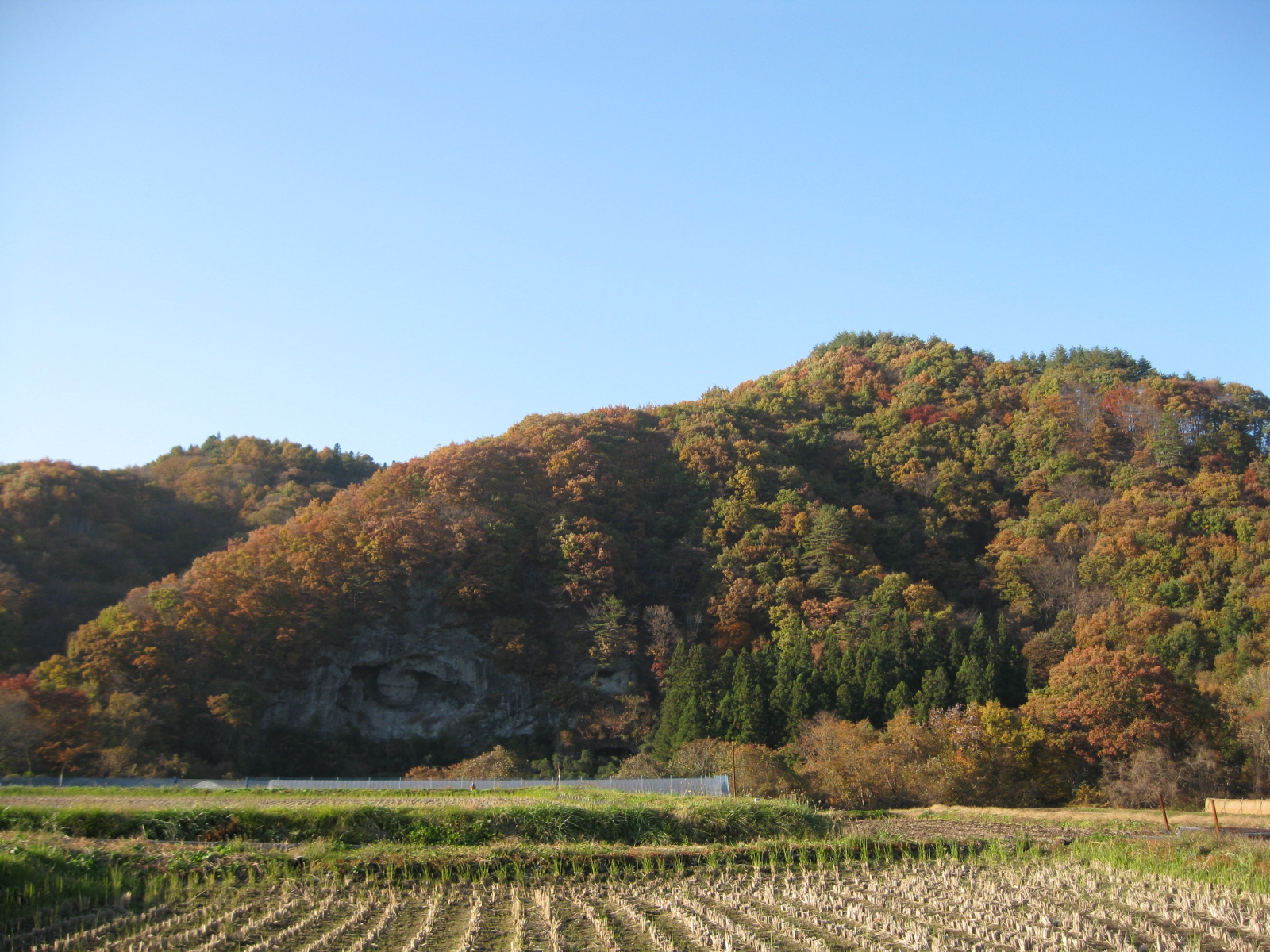 田園風景