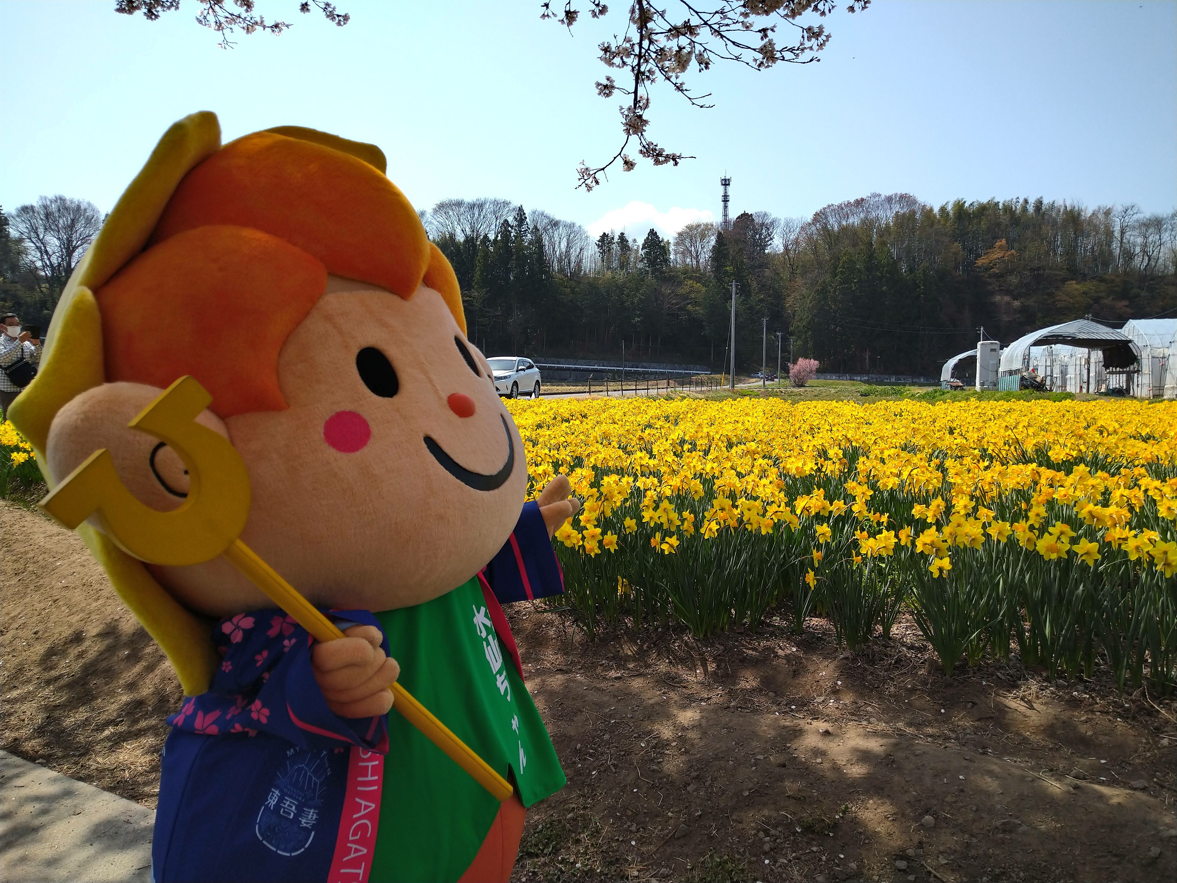 4月7日、4月17日　すいせん祭り
