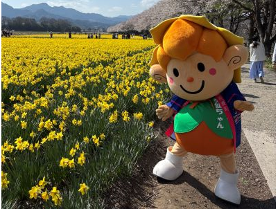 4月12日、4月13日　すいせん祭り