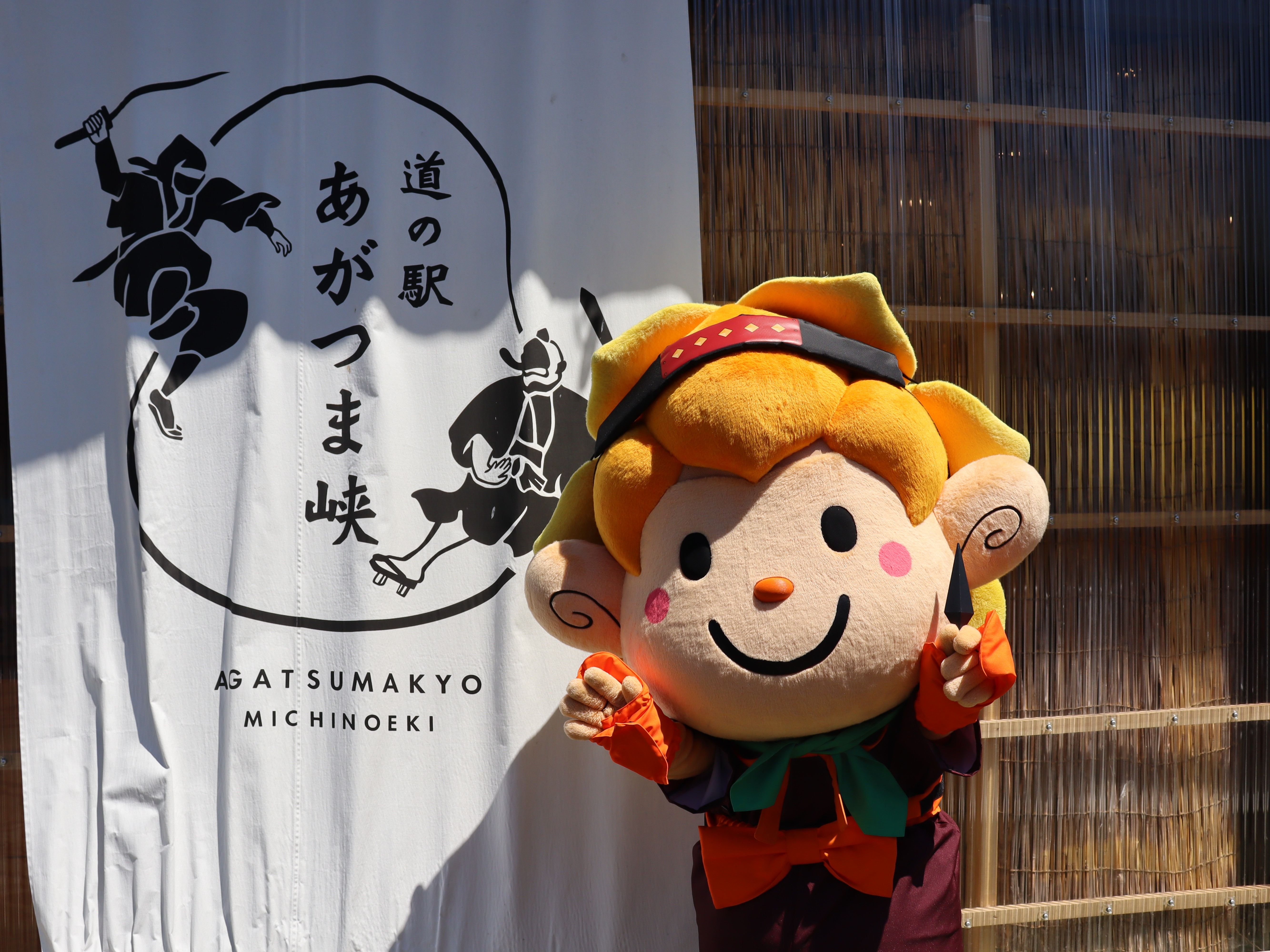 東吾妻町ゆるキャラ「水仙ちゃん」活動報告について | 東吾妻町