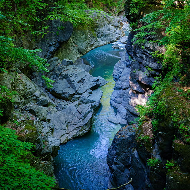 夏の写真です。吾妻狭の夏は渓谷を流れる清流と、取り囲む緑は澄んだ空気を提供してくれます。