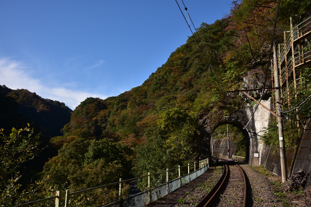 樽沢